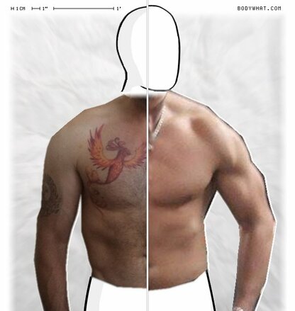 Torso Comparison