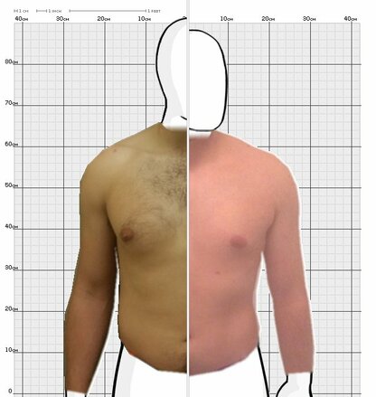 Torso Comparison