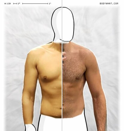 Torso Comparison