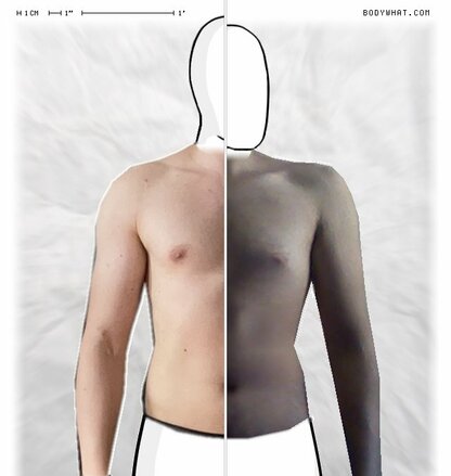 Torso Comparison