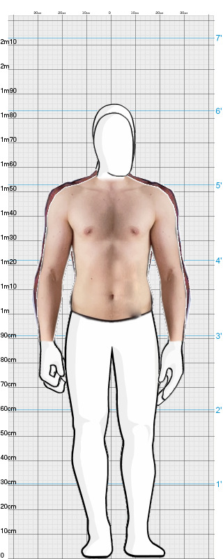 Full Size Comparison