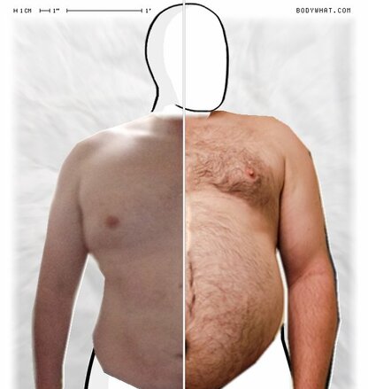 Torso Comparison