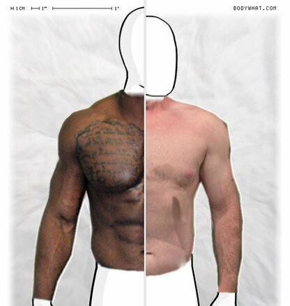 Torso Comparison
