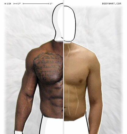 Torso Comparison