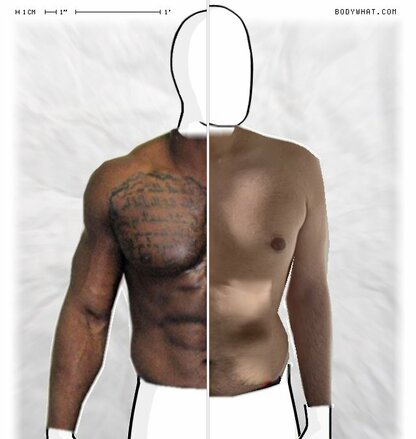 Torso Comparison