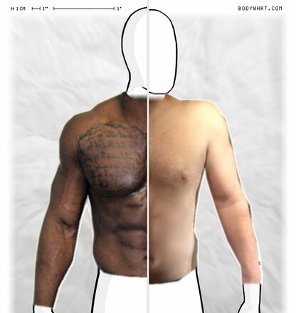 Torso Comparison