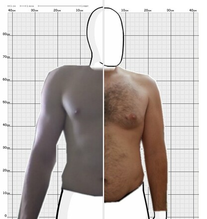 Torso Comparison