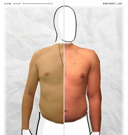 Torso Comparison