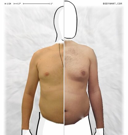 Torso Comparison