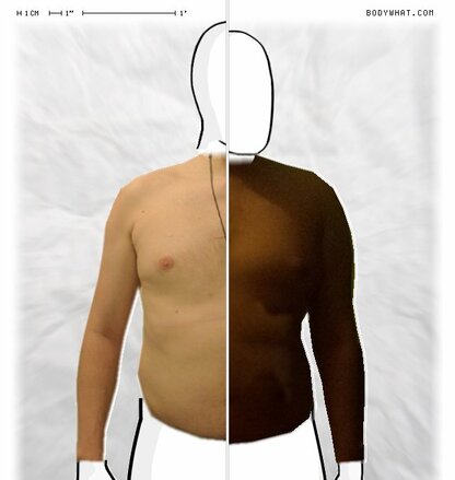 Torso Comparison