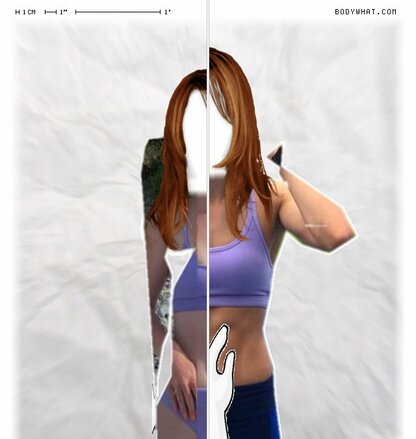 Torso Comparison