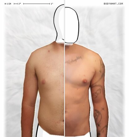 Torso Comparison