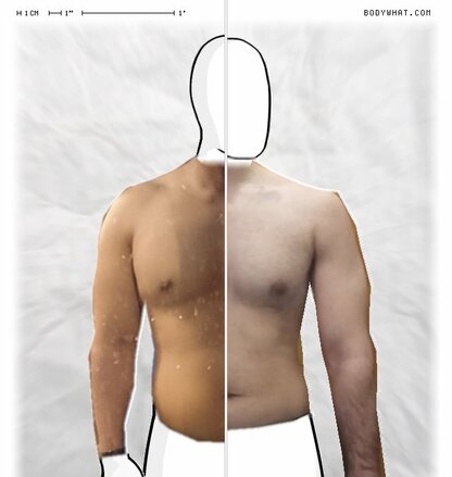 Torso Comparison