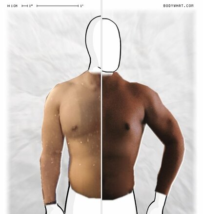 Torso Comparison