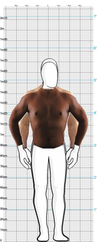 Full Size Comparison