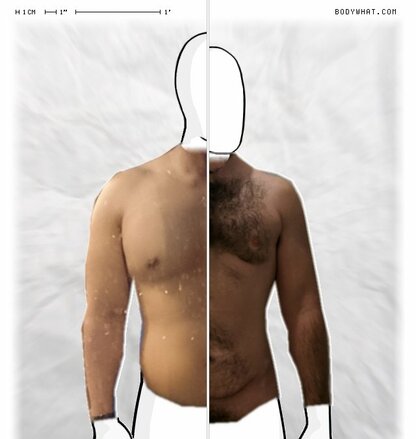 Torso Comparison