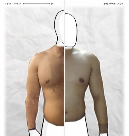 Torso Comparison