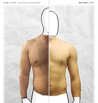 Torso Comparison