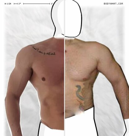 Torso Comparison