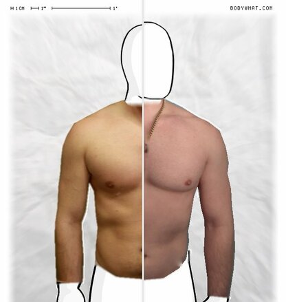 Torso Comparison