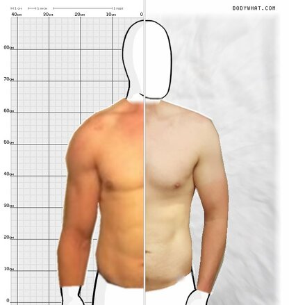 Torso Comparison