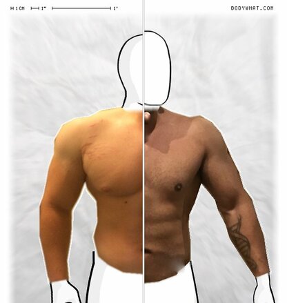 Torso Comparison