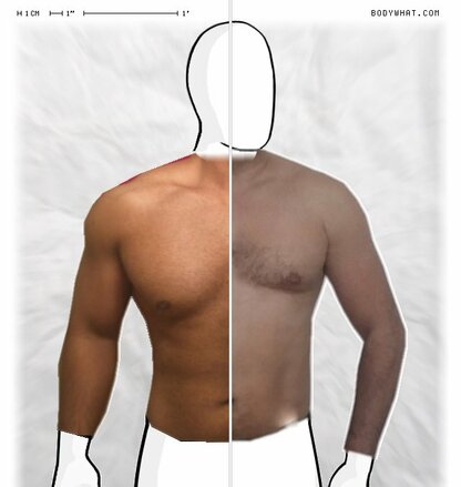 Torso Comparison