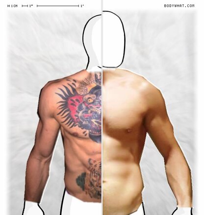 Torso Comparison