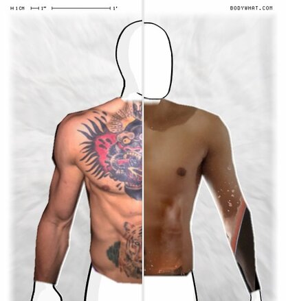 Torso Comparison