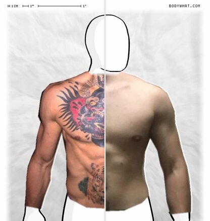 Torso Comparison