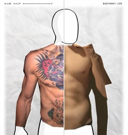 Torso Comparison