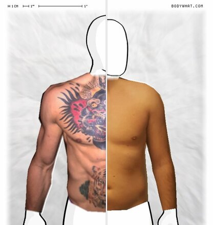 Torso Comparison