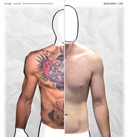 Torso Comparison