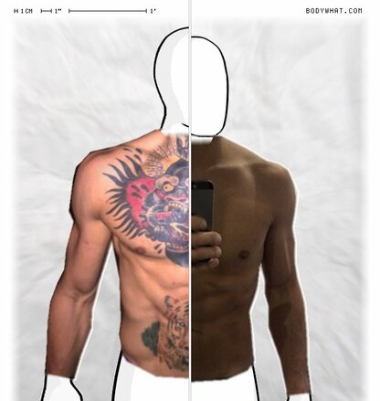 Torso Comparison