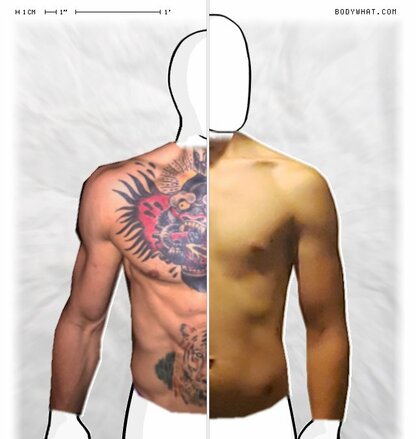 Torso Comparison