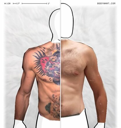 Torso Comparison