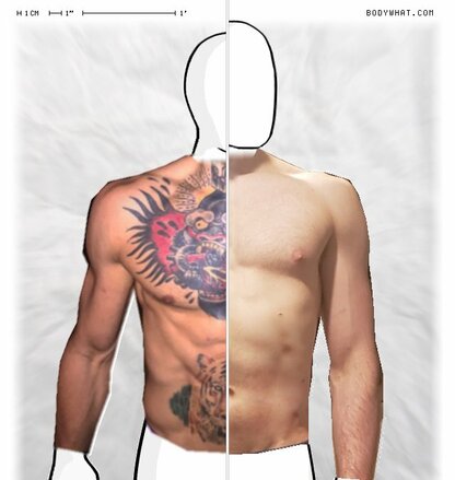 Torso Comparison