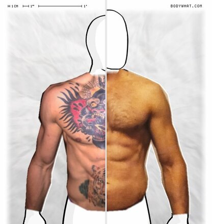 Torso Comparison