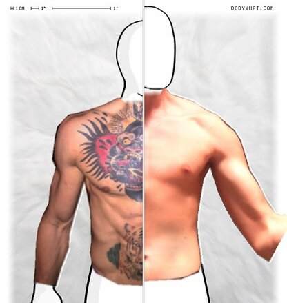 Torso Comparison