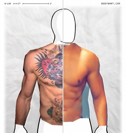 Torso Comparison