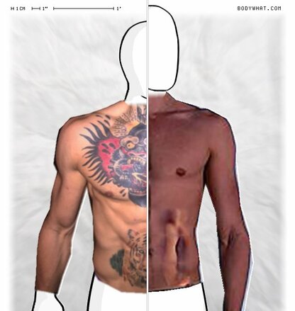 Torso Comparison