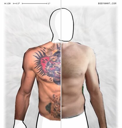 Torso Comparison