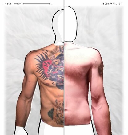 Torso Comparison