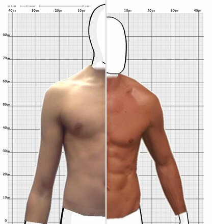 Torso Comparison