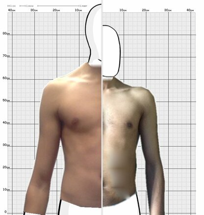Torso Comparison