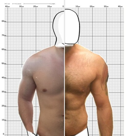 Torso Comparison