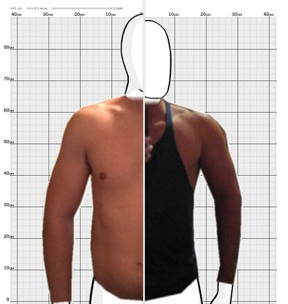 Torso Comparison