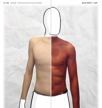 Torso Comparison