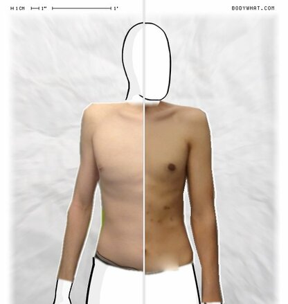 Torso Comparison