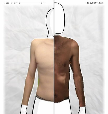 Torso Comparison